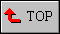 Top of Page